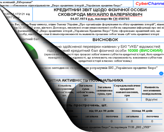 Фіз.особа — повний звіт